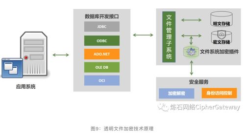 一文讀懂十大數(shù)據(jù)存儲加密技術(shù)